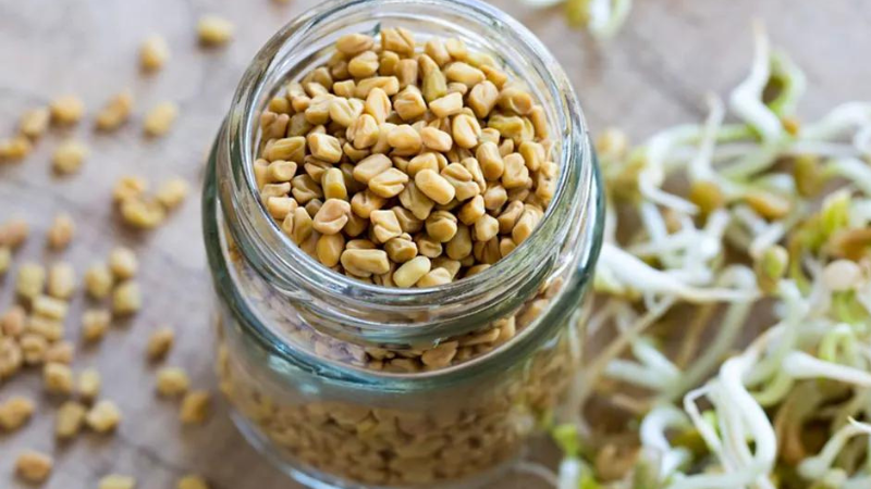 Fenugreek seeds