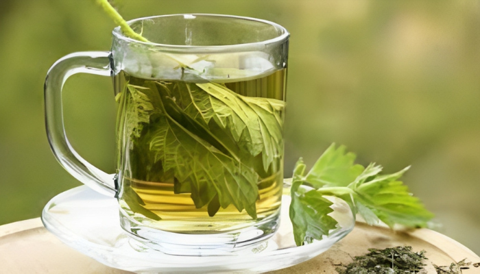 Nettle Tea: Reducing Uric Acid